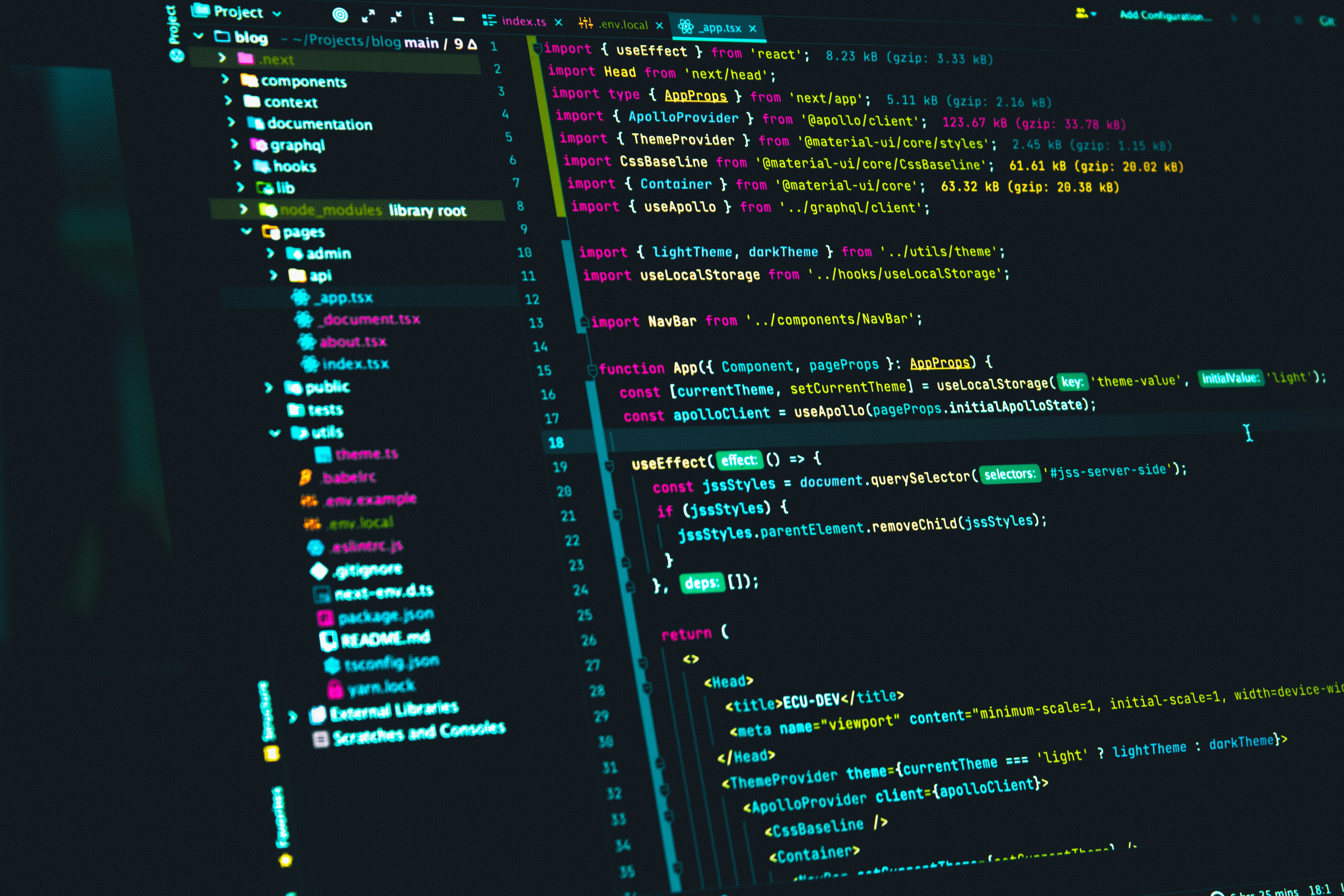 Softwareentwicklung